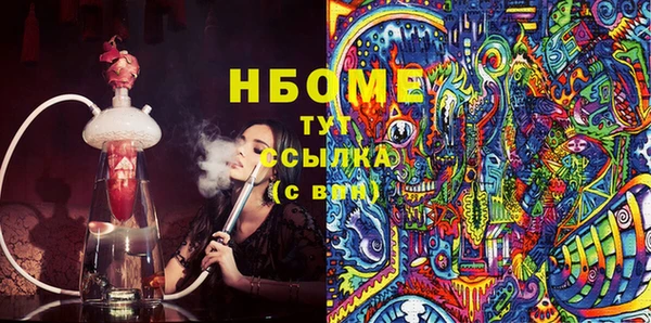 стаф Вязьма